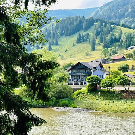 Piatra Codrilor Otel Dorna Arini Dış mekan fotoğraf