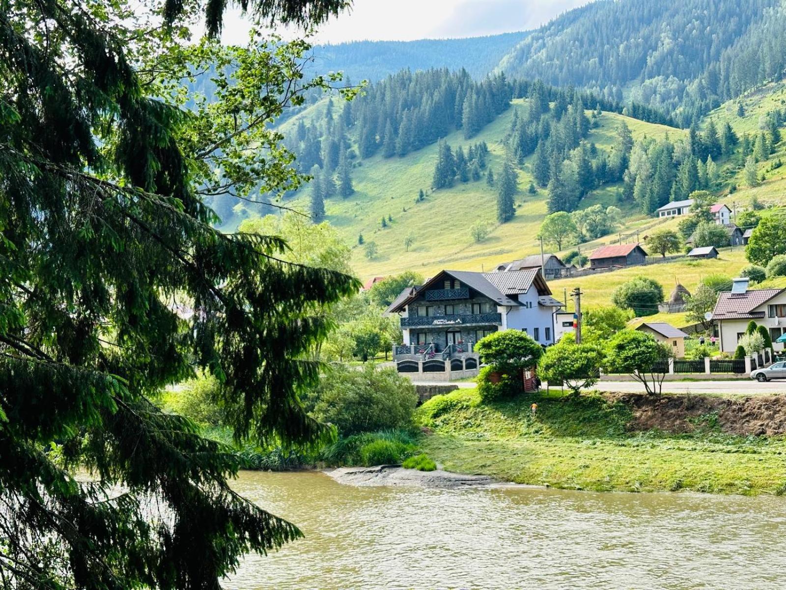 Piatra Codrilor Otel Dorna Arini Dış mekan fotoğraf